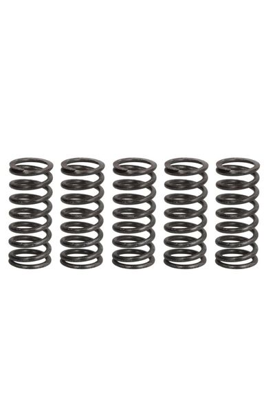 TRW Arcuri de Ambreiaj Kawasaki Kx 450 2012-2020 KAWASAKI KX