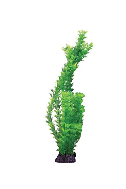 HUGO Kamishi Hornwort Aquarium Plant Decor