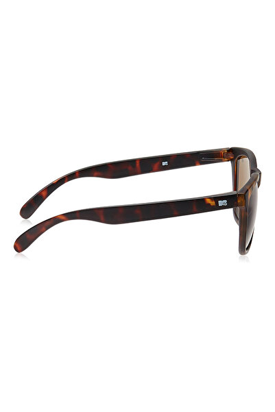 MTV Wayfarer Sunglasses