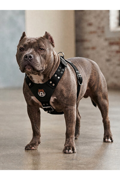 YILPAX Köpek Göğüs Tasması Deri Panelli Dokuma Ayarlanabilir Büyük Irk Gezdirme Tasması Siyah