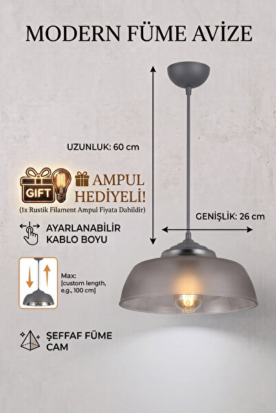 ZNEEL Modern Füme Renk Avize Sarkıt Lamba 60 cm Ayarlanabilir Kablo Boyu Rust...