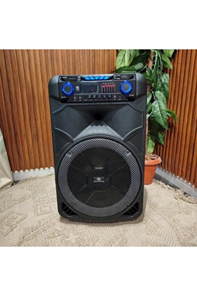 NON Large wireless speaker for parties and events Feelmax powerful wireless s...