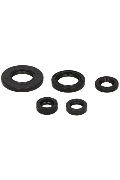 WINDEROSA Set de Garnituri de Motor Yamaha Tt-r 125 2000-2022 YAMAHA TT-R