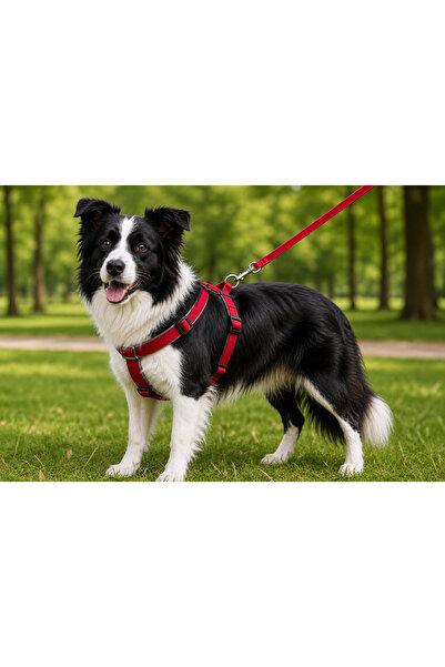 Generic Brand Woven Dog Chest Collar Set with Walking Strap 40*60-110 cm Red