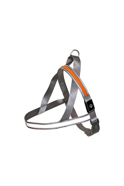 Zoofari Dog harness, LED band, battery, size L, circumference 70-85 cm,