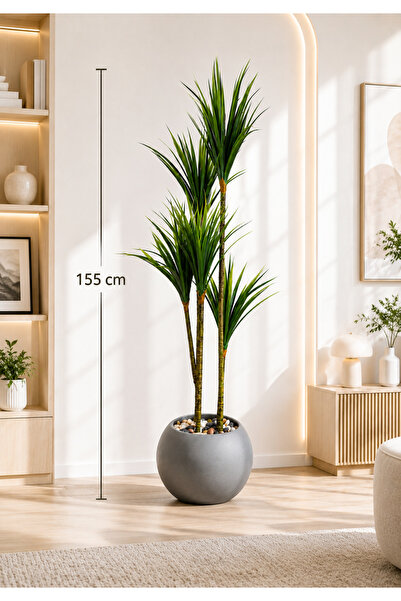 CENTRHOME Arica Tree with Five Branches, 155 cm High, with a Corked Trunk.