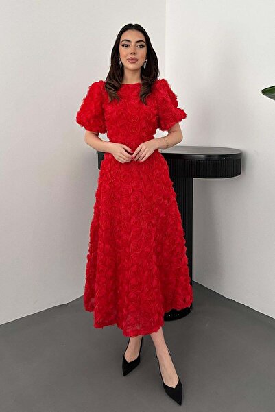 Clothes Fast Women's Red Midi Rose Appliqué Balloon Sleeve Round Neck Lined E...