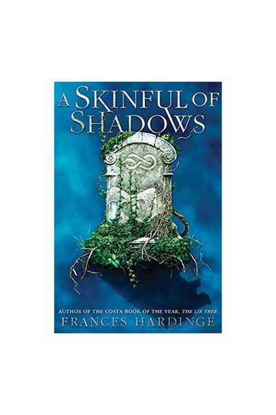 Generic (Unbranded) A Skinful of Shadows