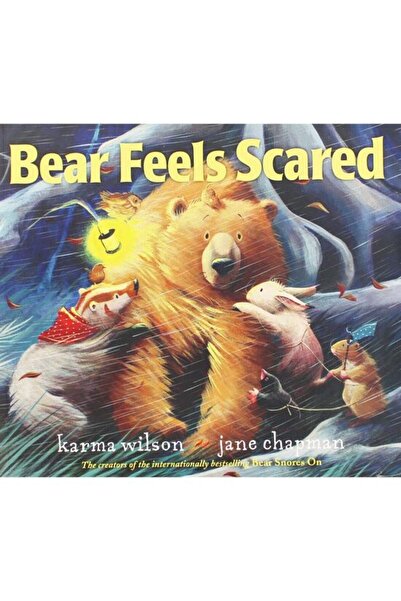 Generic (Unbranded) Bear Feels Scared, Karma Wilson