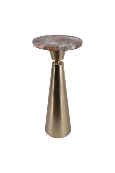 Sagebrook Home 24" ORAB PETRIFIED WOOD COCKTAIL TABLE