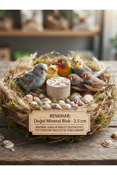 renkmar Doğal Kuş Mineral Blok - Sindirim, Gaga, İskelet, Tüy Dökülme ve Stre...