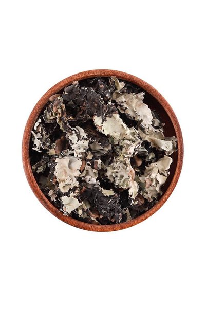 Herb Shiba 50 Grams