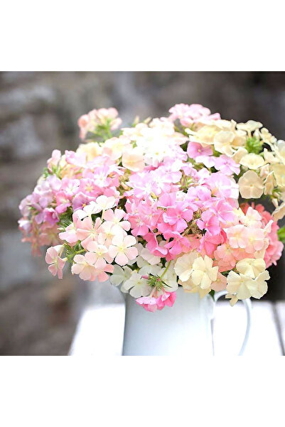 Bloom & Sow Seed Pastel Mix Verbena Seeds, Clustering Blooms for Balcony Hang...