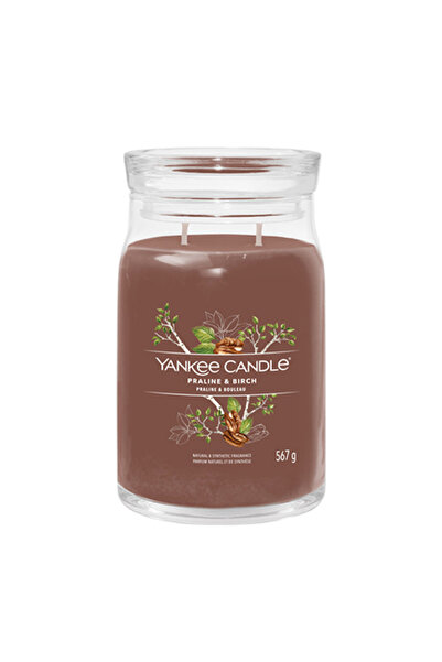 Yankee Candle Κερί Signature Πραλίνα & Σημύδα, Μεγάλο, 567 γρ.
