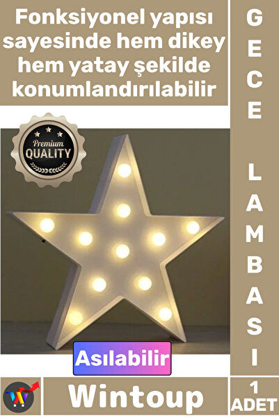 Wintoup #GeceLambası Dekoratif Modern Gün Işığı Pilli Duvar Masa Üstü Led Işı...