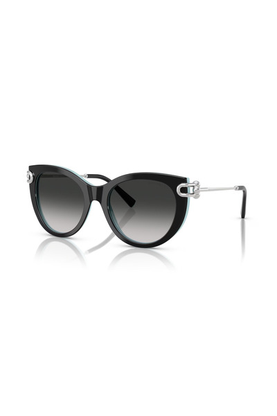 Tiffany Tf 4232 80553C 53 Sunglasses
