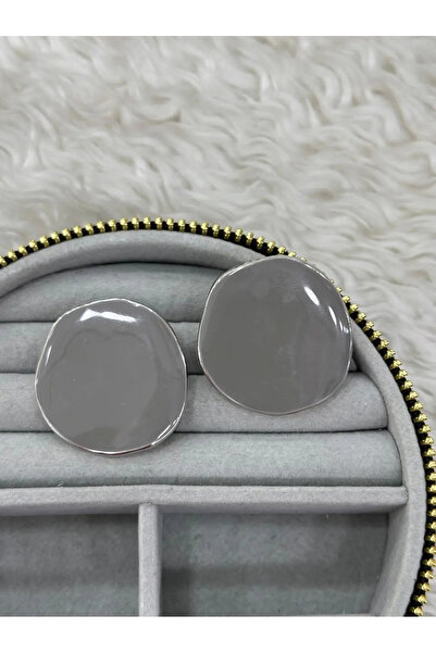 Bozhi Earrings Steel Everyday Elegance