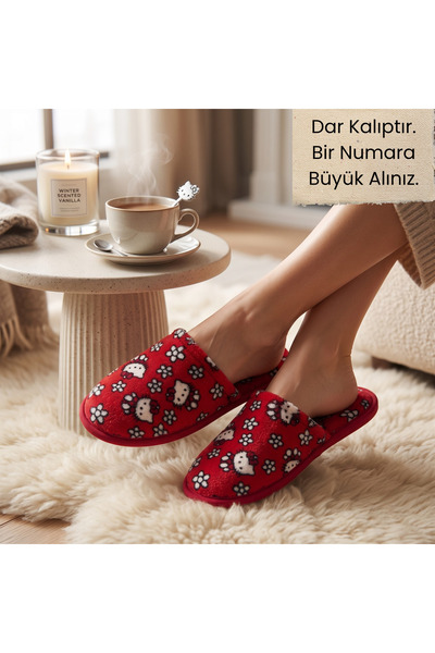 AYLASYA Kadın Kışlık-Misafir-Çeyizlik Yumuşak Süngerli Taban Ev Terliği