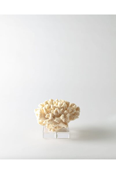 Madame Coco Fleur Trinket