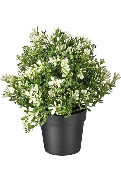 DRAMA HOME VÄXER Artificial Potted Plant, Multicolored, 22cm
