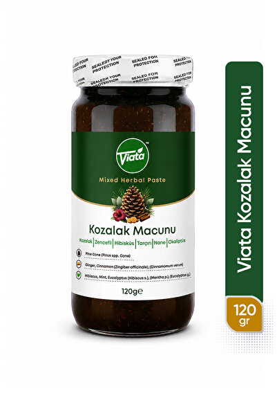 Viata Kozalak Macunu Zencefil Hibiskus Tarçın Nane Okaliptüs İçeren Bitkisel ...