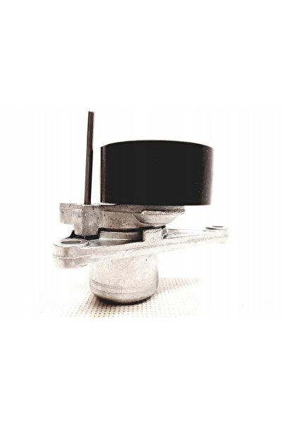 NO BRAND Set role întinzătoare curea RENAULT 2,0 DCI 7701477344 ORIGINAL