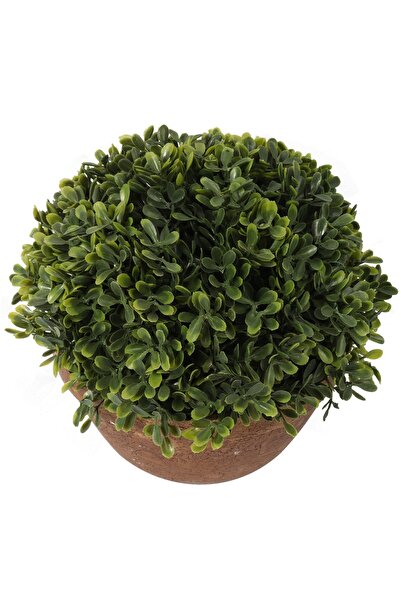 NO BRAND Plantă artificială de cimișir în ghiveci 20cm. Flori artificiale în ...