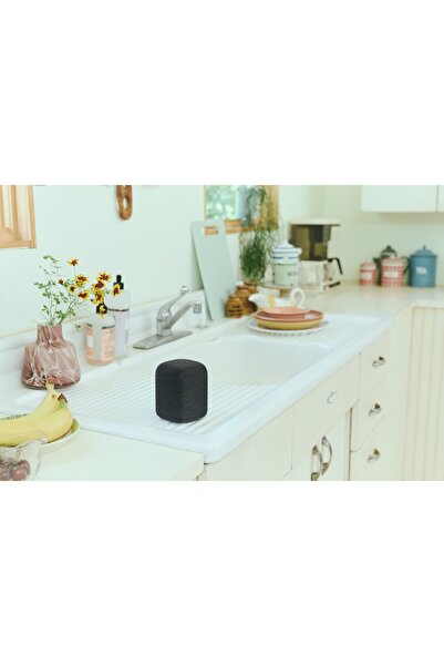 Sony Boxă portabilă SRS-LS1 Negru 1 W