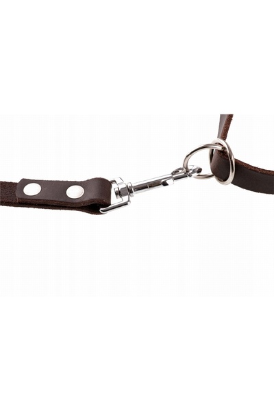 NO BRAND Lesă din piele cu prindere prin clemă 4WILD 250cm