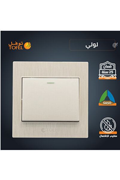 TOFEL TOEFL Single Gang 4 Screw Light Switch | 7 x 7 cm | Loli | Recessed In ...