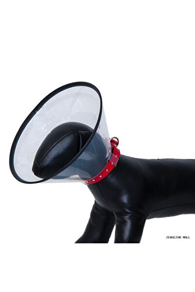 Eastland Zengezur Elizabeth Durable Collar (181528) 10 cm
