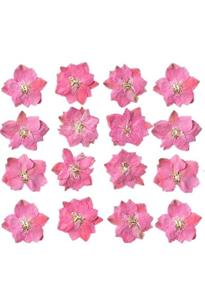 Generic Bolivia's Pink Dried Flowers, 12 PCS Natural Dried Pressed Blooms for...