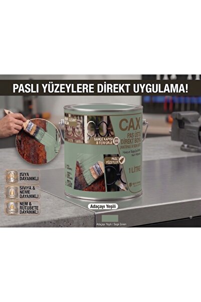caxcolors CAX Pas Üstü Direkt Uygulanan Antipaslı Sentetik Metal Boyası 1 Lit...