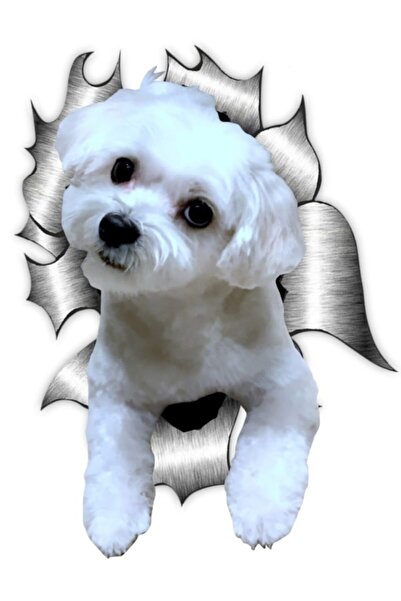 TSC ملصق سيارة مالتيز لاصق موديل 6 18 سم