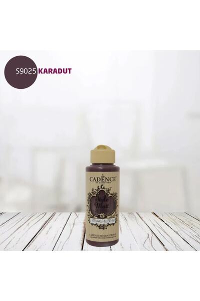 Cadence Boya Cadence Style Matt S9025 Karadut 120 Ml.