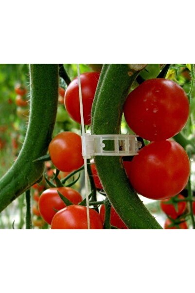 Genel Markalar Domates Klipsi Şeffaf 25mm 600 Adet