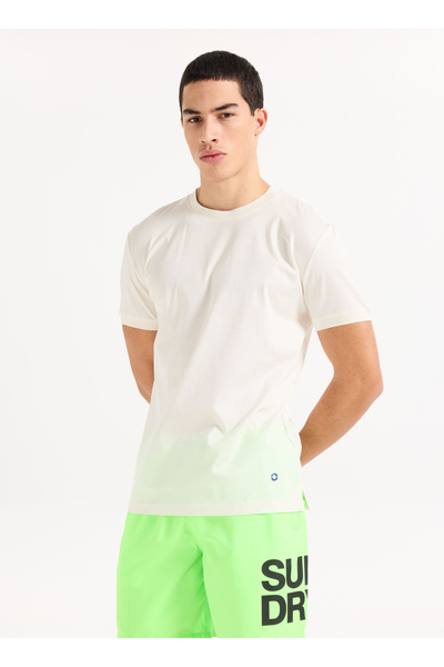 SUPERDRY Yeşil Erkek Regular Fit Baskılı Şort Mayo SPORTSWEAR LOGO 17 SWIM SHORT