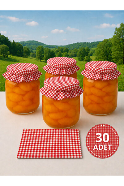 senmasy 30 Jar Lid Covers / Red Gingham and Colored Binding Rubber