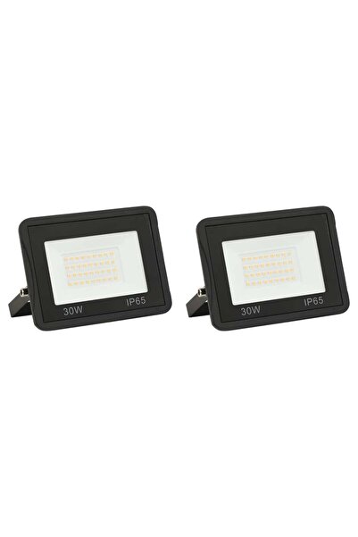 Concept Proiectoare cu LED, 30 W, 2 buc., alb rece