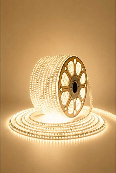 Ookayled 220V Şerit led Günışığı 100 METRE
