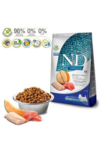 N&D Ocean Somon&Morina Balık&Kavunlu Mini Irk Yetişkin Köpek Maması 2,5 KG