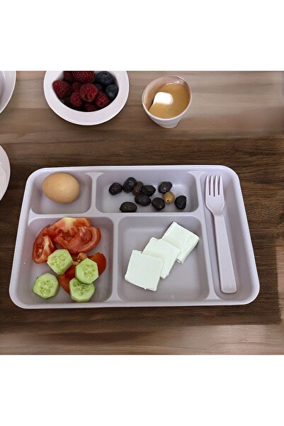 HOLLYHOME 4 Adet Tabldot 5 Bölmeli Lüks Plastik Piknik Yemek Servis Tabağı, 4 Renk Tablot 21x31x3,3(h) cm