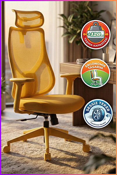 KARR OFFICE Rio Ergonomik Çalışma Koltuğu