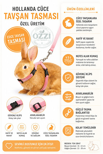ozzipetshop Hollanda Cüce Tavşan Tasması