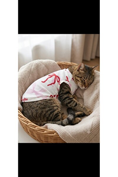 atelyu kedi köpek kıyafeti fıyonk desen tshirt