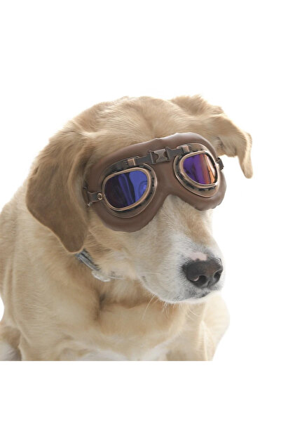 Petza Dog Sunglasses Kimmo
