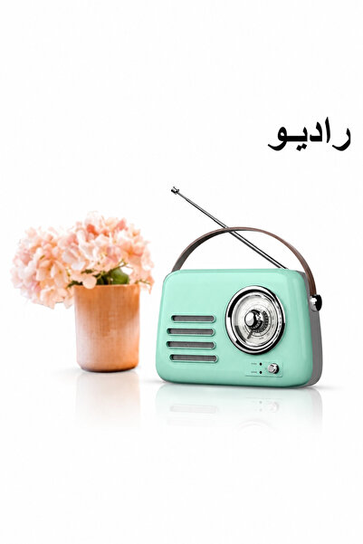 Baytix HOME Portable Bluetooth FM Radio Speaker, USB MP3 Player Wireless Retr...