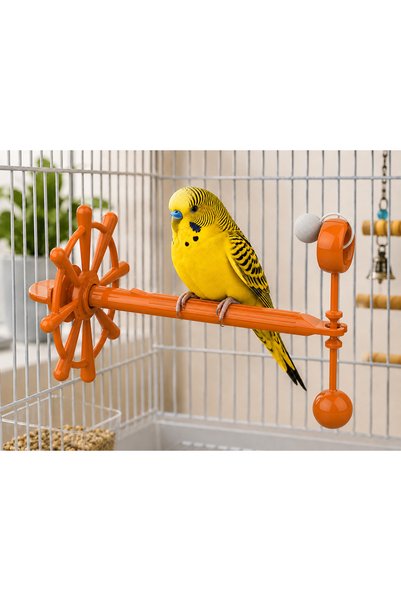 PatiNova Bird Play Wheel Orange