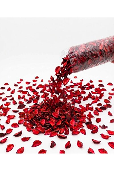 WORDAKS Kırmızı Gül Kurusu Yaprağı, Romantik Dekor Hediye Süs Düğün Kına Söz ...