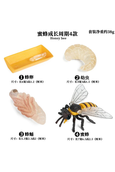Choice3 U-4pcs Animal Life Cycle Board Children Toys Montessori Teaching Aids...